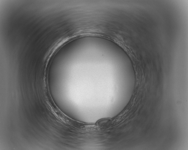 X0000063450050200601201005