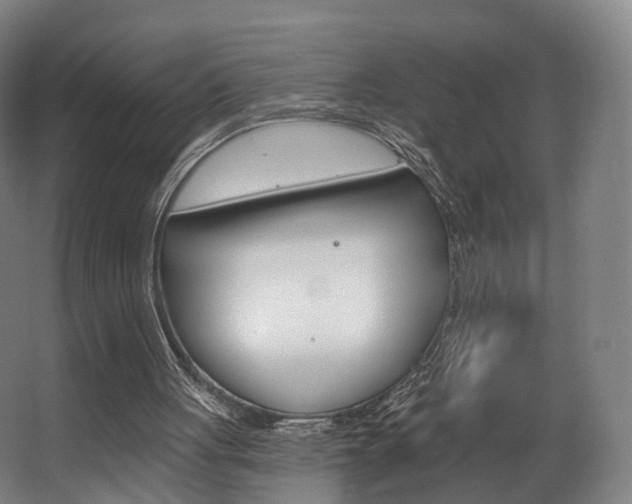 X0000063450051200601201005