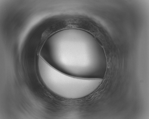 X0000063450052200601201005