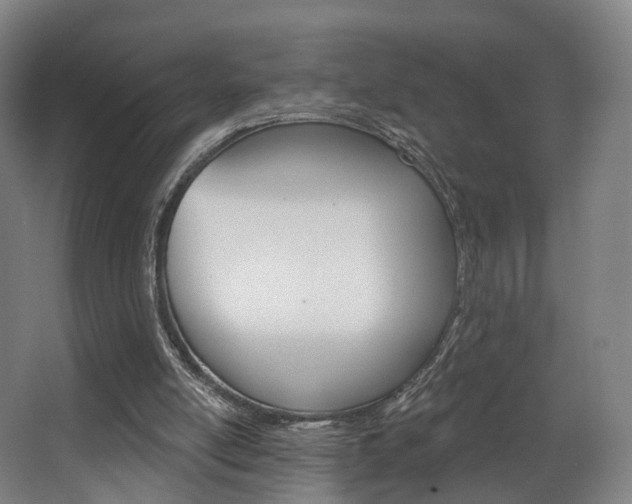 X0000063450054200601201005