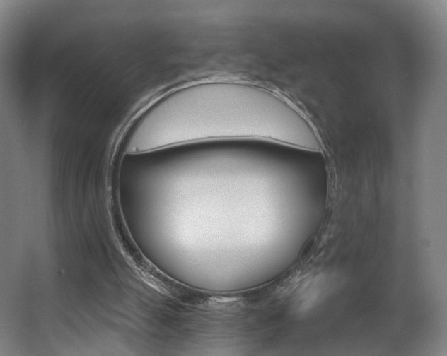 X0000063450055200601201005