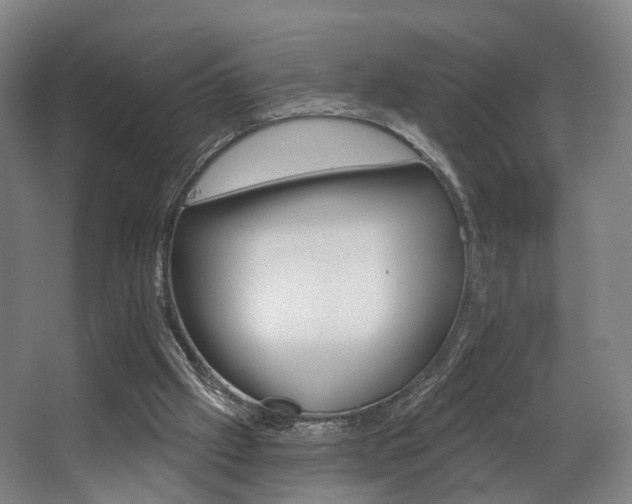 X0000063450057200601201005