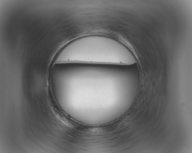 X0000063450059200601201005