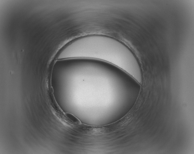 X0000063450060200601201005