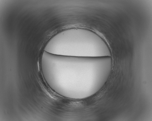 X0000063450061200601201005
