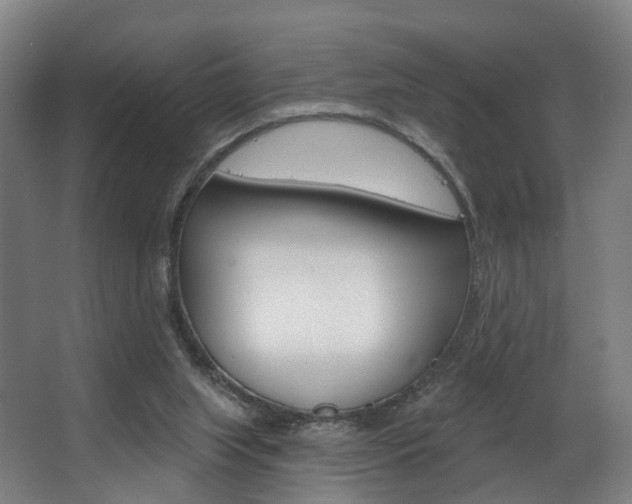X0000063450063200601201006