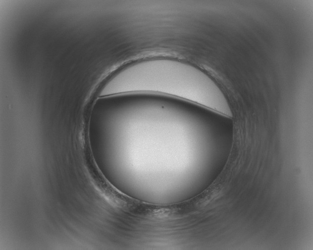X0000063450064200601201006
