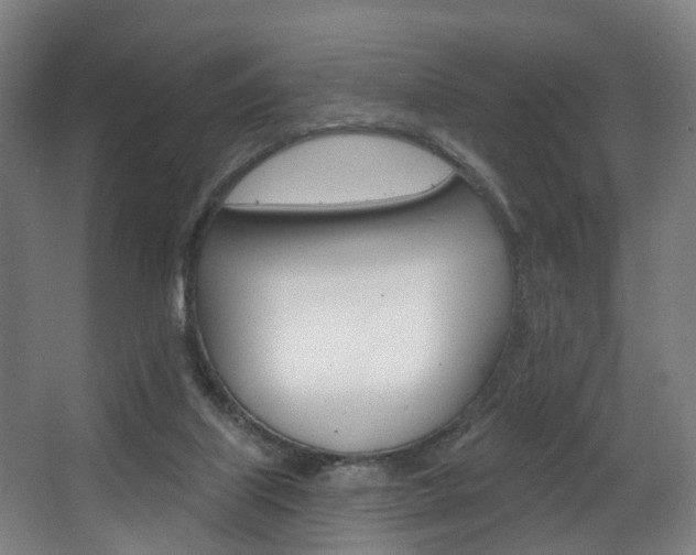 X0000063450067200601201006