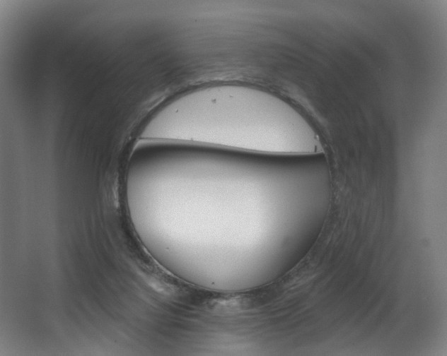 X0000063450068200601201006
