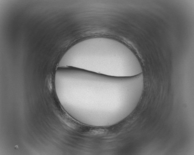 X0000063450069200601201006