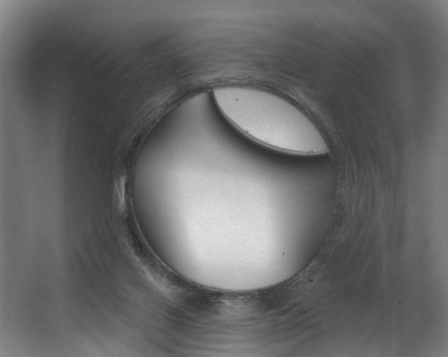 X0000063450070200601201006