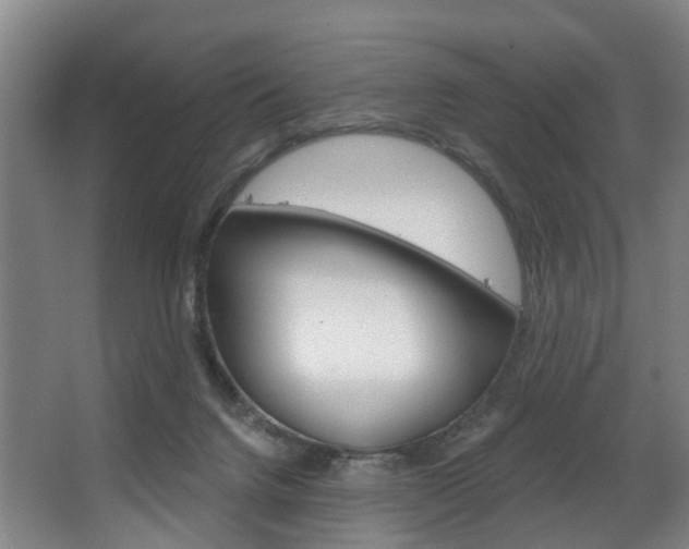 X0000063450072200601201006