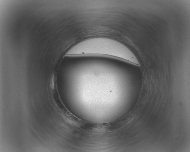 X0000063450076200601201006