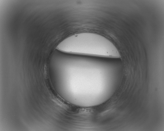 X0000063450077200601201006