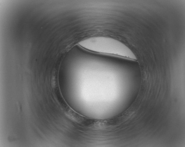 X0000063450080200601201006
