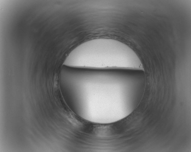 X0000063450081200601201006