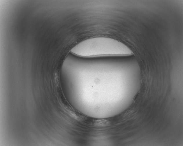 X0000063450087200601201006
