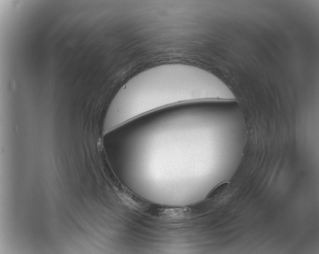X0000063450089200601201006