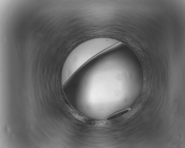 X0000063450096200601201006