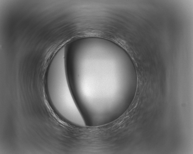 X0000063450097200601201005