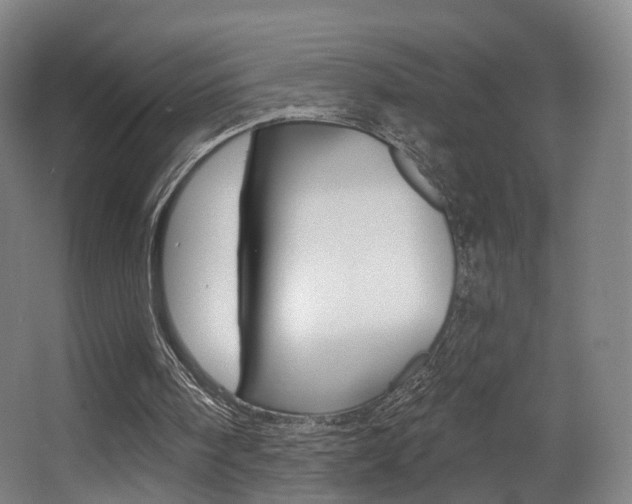 X0000063450098200601201005