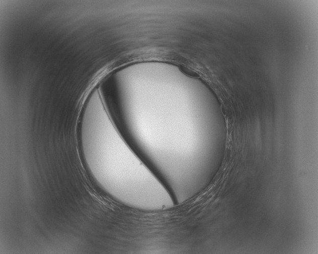 X0000063450099200601201005