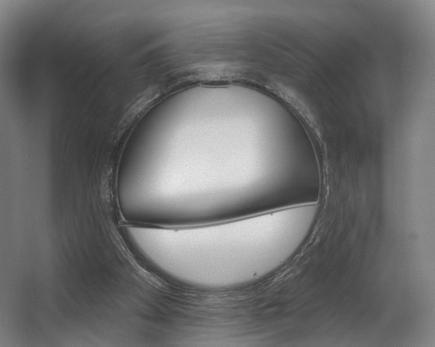 X0000063450105200601201005