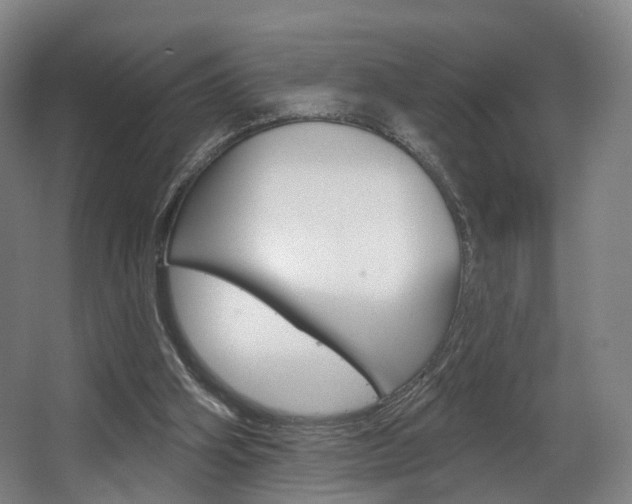X0000063450106200601201005