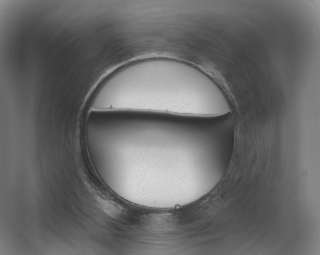 X0000063450108200601201005