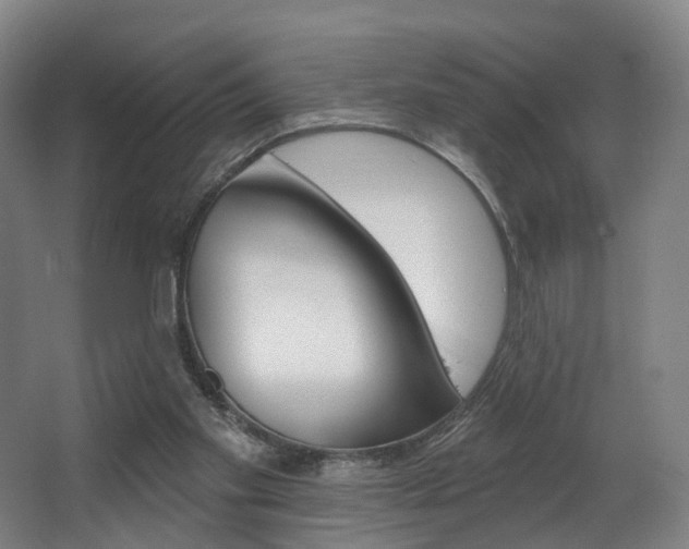 X0000063450109200601201005