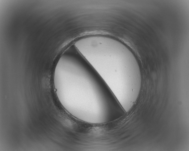 X0000063450111200601201005