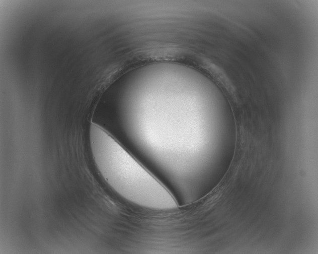 X0000063450113200601201005