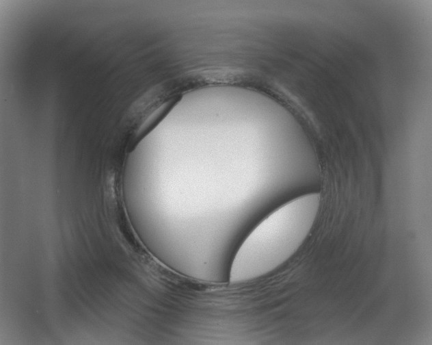 X0000063450117200601201005