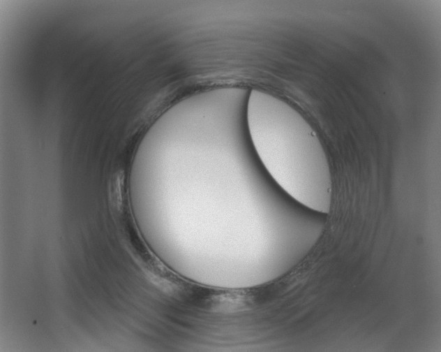 X0000063450118200601201005