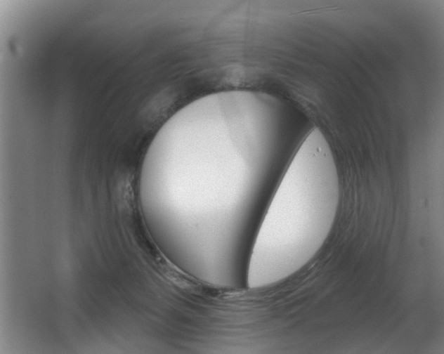X0000063450127200601201005