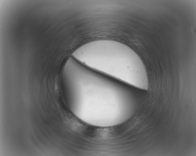 X0000063450131200601201005