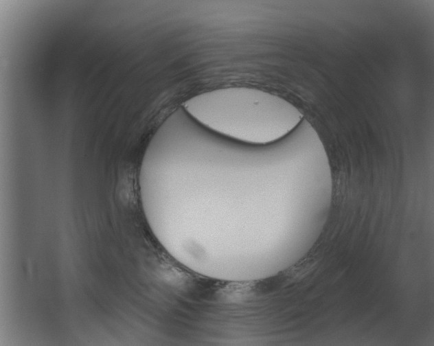 X0000063450138200601201005