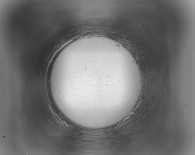 X0000063450146200601201004