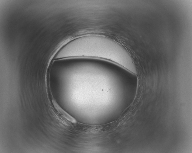 X0000063450148200601201004