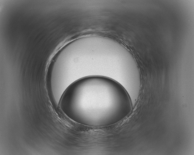 X0000063450150200601201004