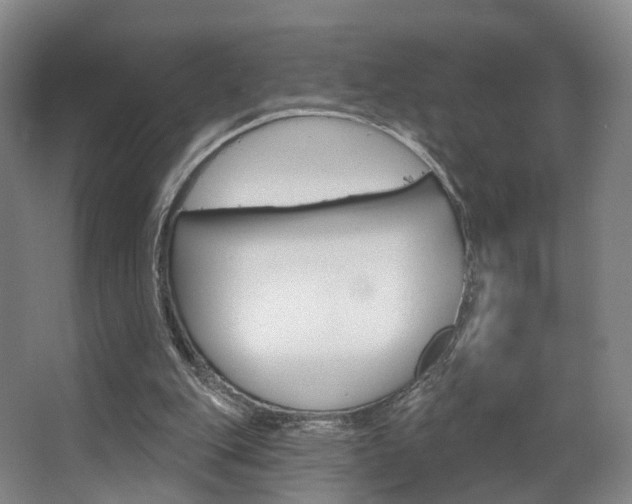 X0000063450151200601201004