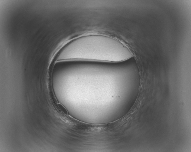 X0000063450152200601201004