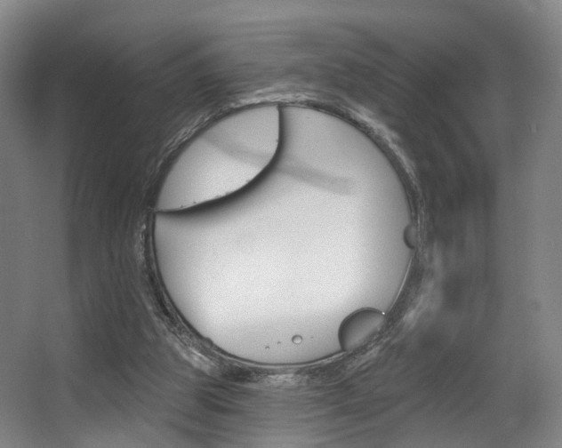X0000063450153200601201004