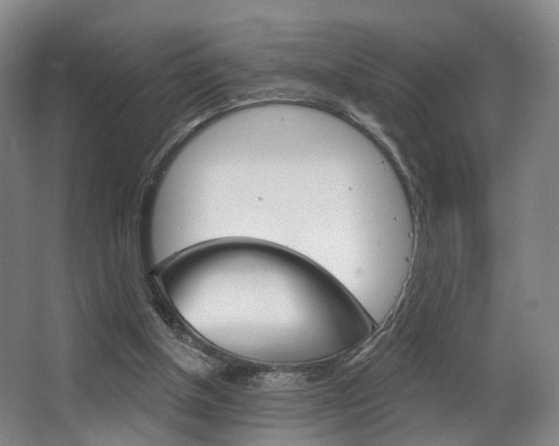 X0000063450154200601201004