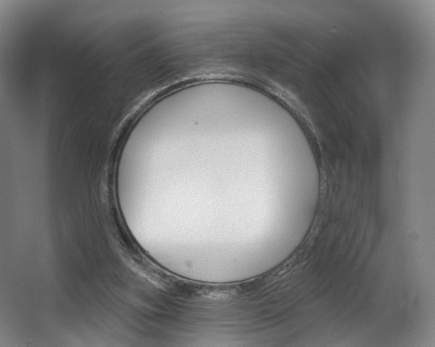 X0000063450155200601201004