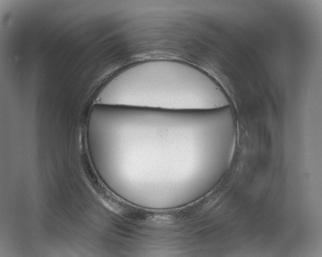 X0000063450157200601201004