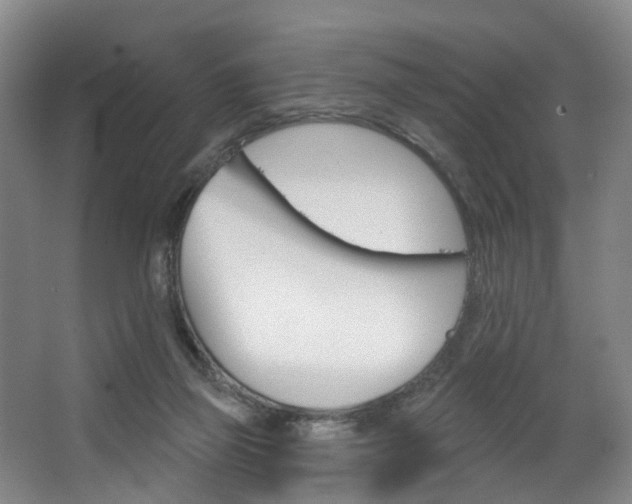 X0000063450165200601201004
