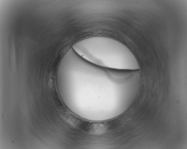 X0000063450169200601201004