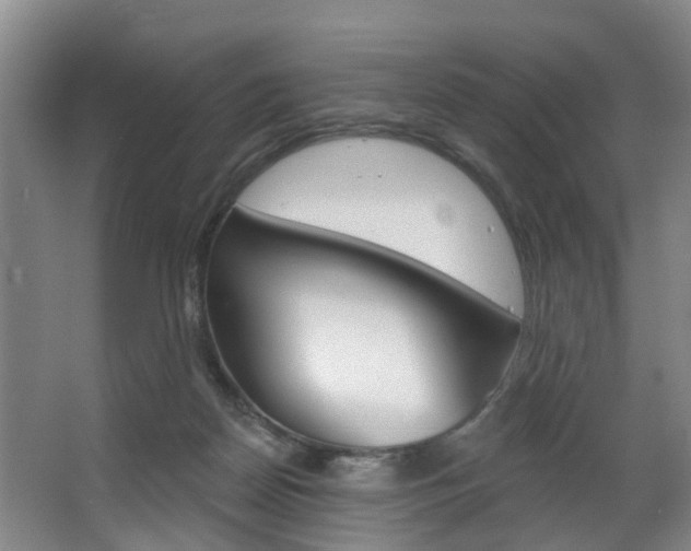X0000063450170200601201004