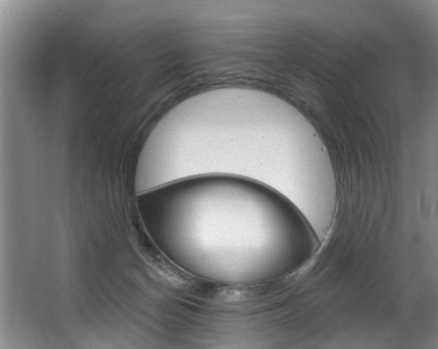 X0000063450174200601201004